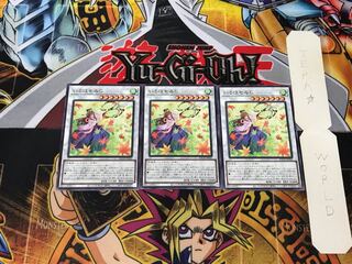 Iroha-momiji 1 Normal, set of 3 Tera