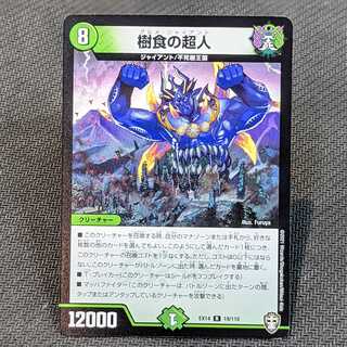 Psychic person of tree food, set of 4