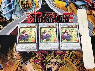 Iroha-momiji 3 normal, set of 3 tera