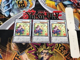 Iroha-momiji 4 normal, set of 3 tera