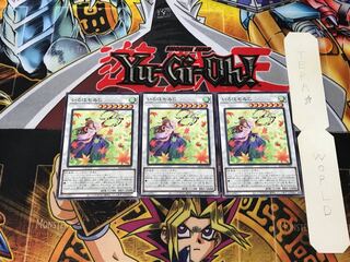 Iroha-momiji 5 normal, set of 3 tera