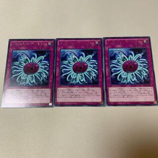 バージェストマ・ディノミスクス 字レア 3枚セット