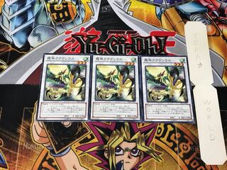 Mist Bird Clausolas 3 Normal, set of 3 Tera