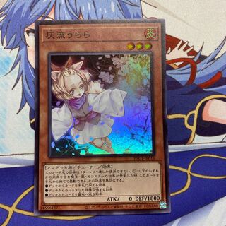 Ash Blossom & Joyous Spring