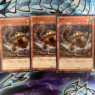 Nimble Beaver 3 pieces