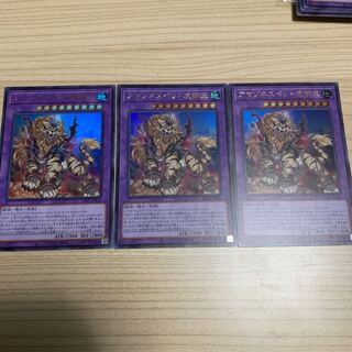 アマゾネスペット虎獅王