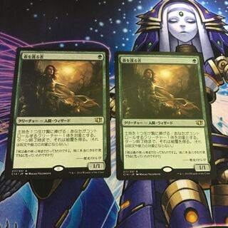 森を護る者  2枚 霧深い雨林1枚セット