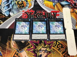 Number 21: Frozen Lady Justice 2 Normal, set of 3 Tera