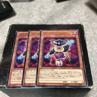 ジェスター・コンフィ ノーマル3枚