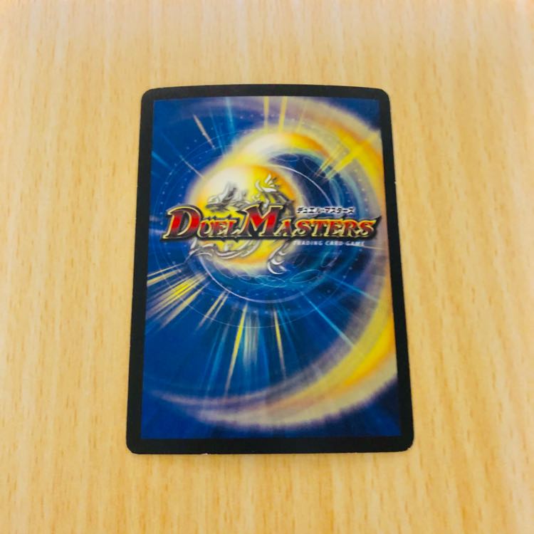 【★激レア★初期 クリスタルパラディン】