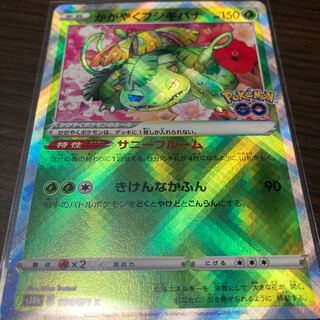 Kagayaku Venusaur K Shipping Included