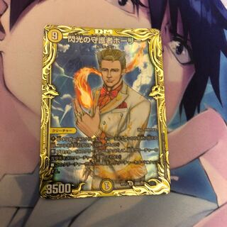 閃光の守護者ホーリー　b