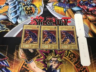 Hercules Beetle 1 Early Normal, set of 3 Tera.