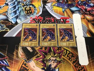 Hercules Beetle 2 Early Normal, set of 3 Tera.