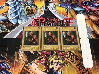 Rock Warrior 3 Early Normal Set of 3 Terra