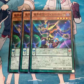 Magic World Theatre Company - Wild Hope - Super Rare 3 copies at a special price.