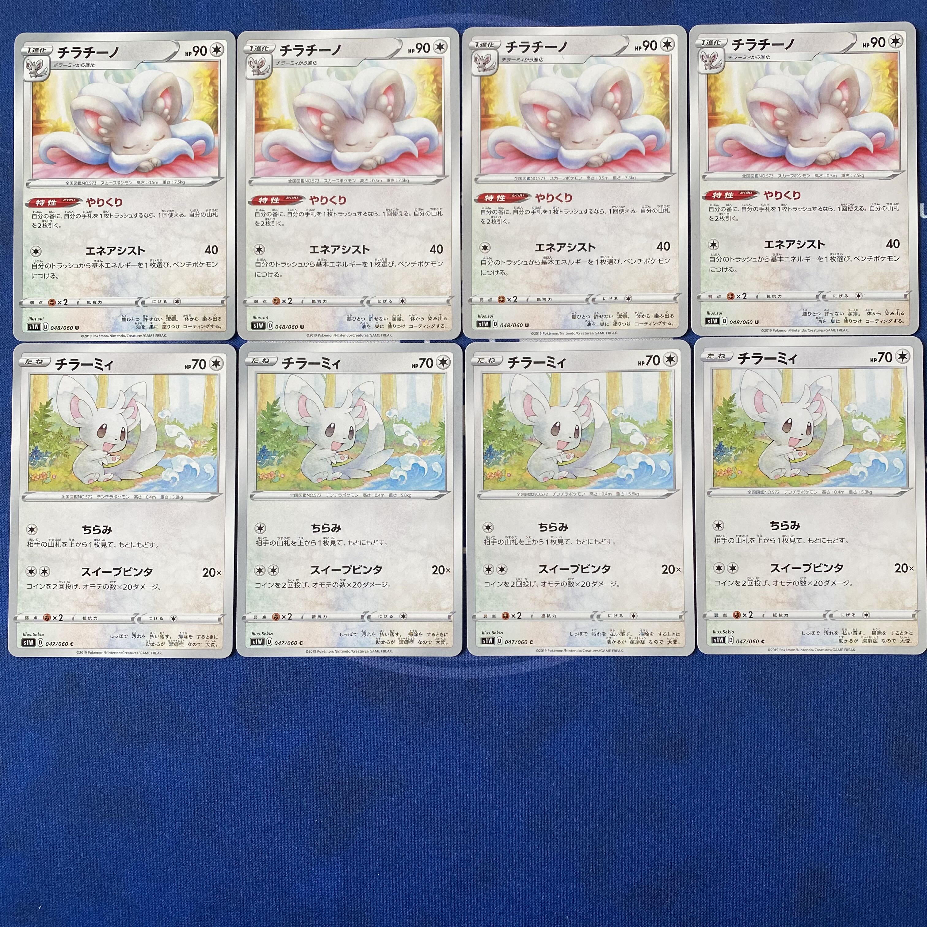 Minccino Cinccino Doing things