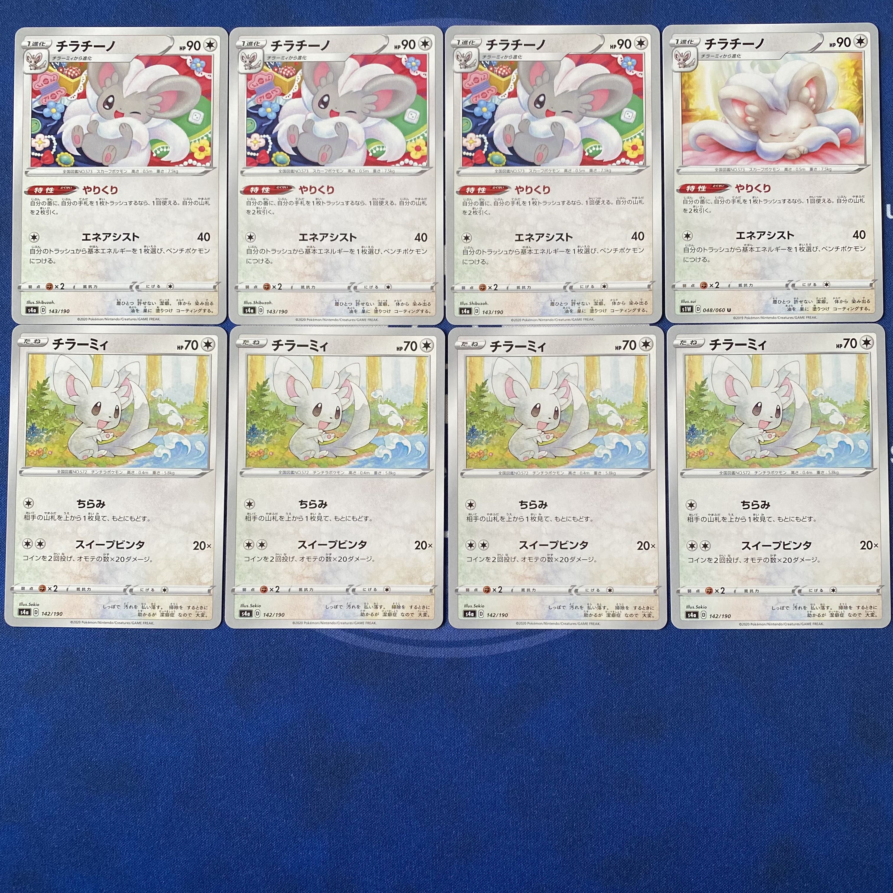 Minccino Cinccino Doing things