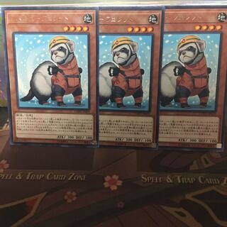 アンコウ レスキューフェレット 3枚