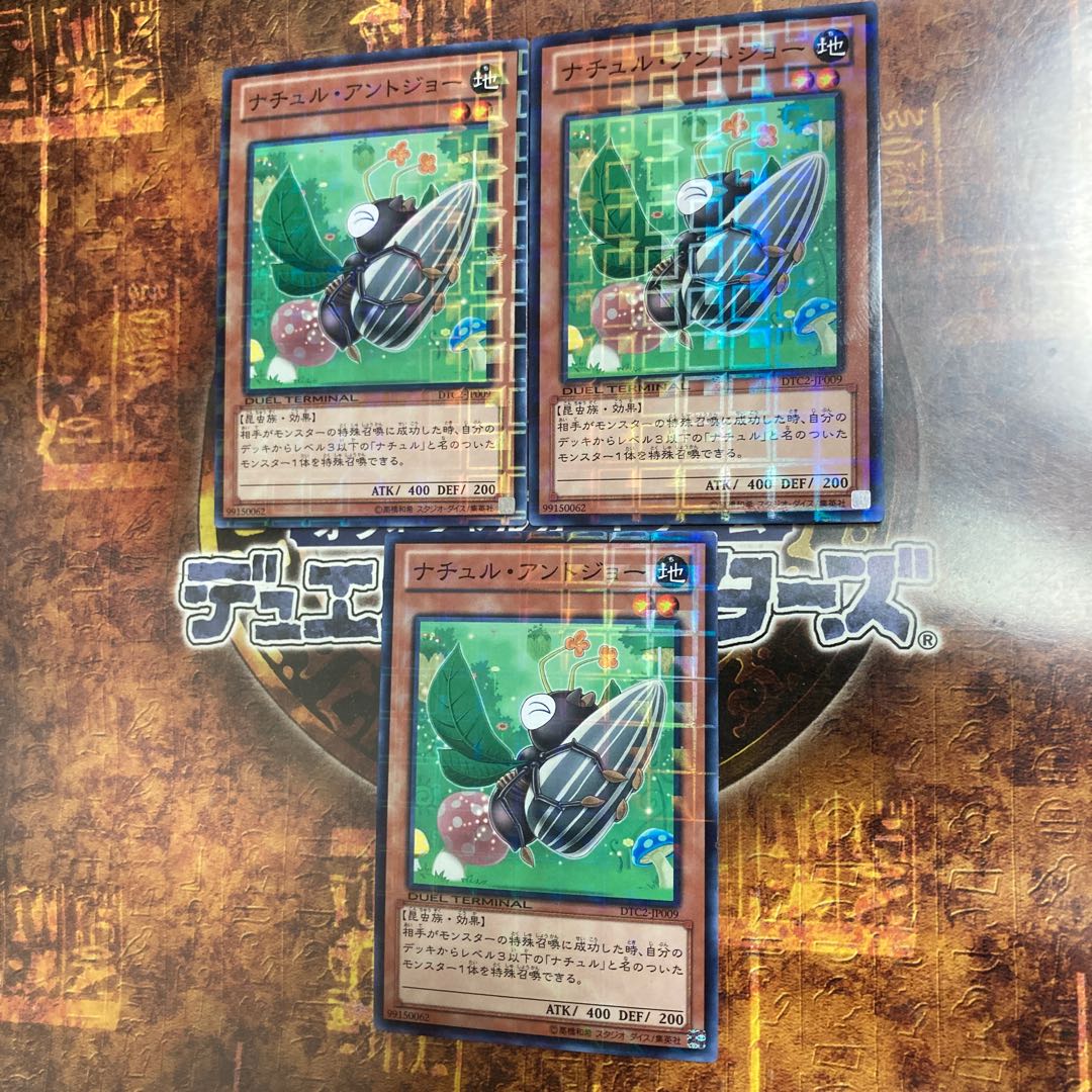 遊戯王★ナチュル・アントジョー★DTC ノーマルパラレル三枚