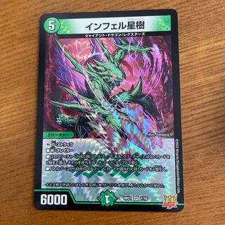 Infelix star tree (species of sedge, Infelix infertilis)