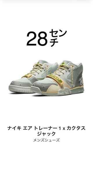 NIKEエアトレーナー1 トラヴィス 28cm