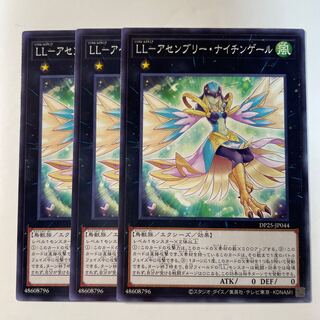 6059 LL-アセンブリー・ナイチンゲール レア JP043