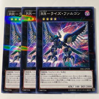 6050 RR-Rise Falcon ☆8255