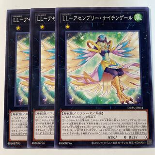 6053 LL-アセンブリー・ナイチンゲール レア JP043