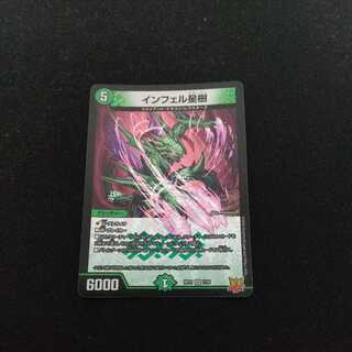 Infelix star tree (species of sedge, Infelix infertilis)