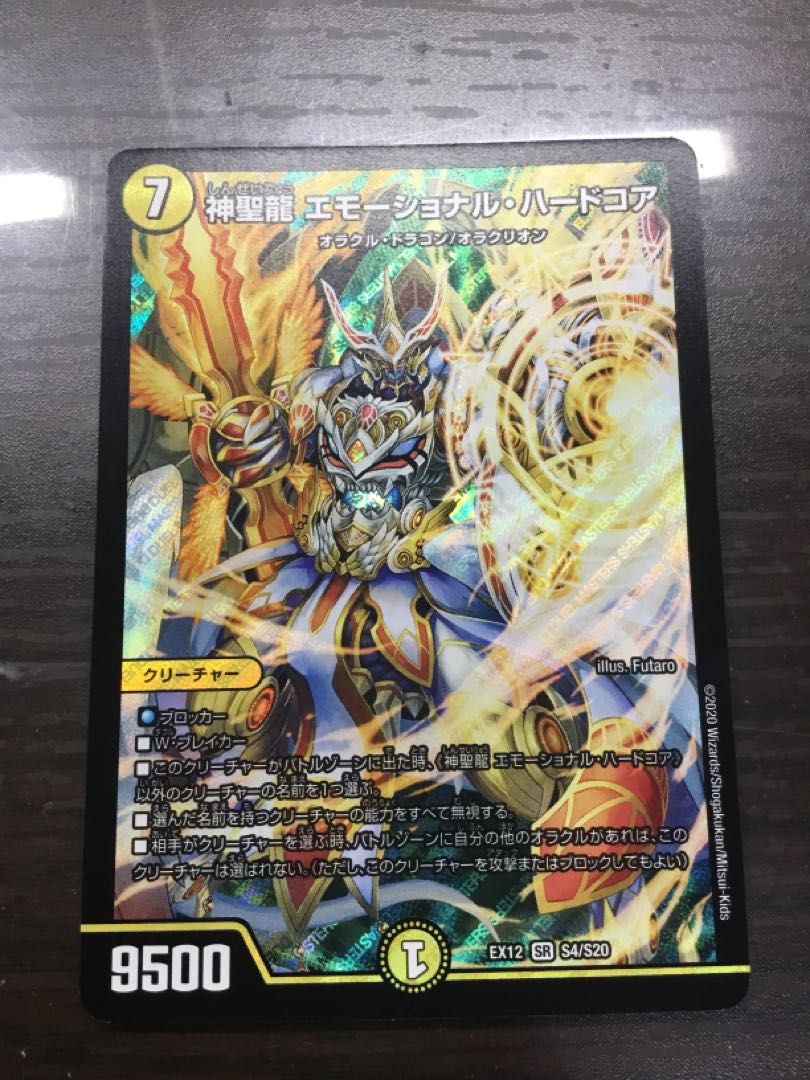 神聖龍 エモーショナル・ハードコア SR