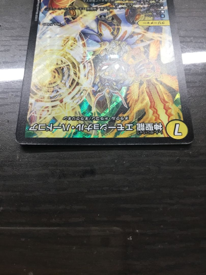 神聖龍 エモーショナル・ハードコア SR