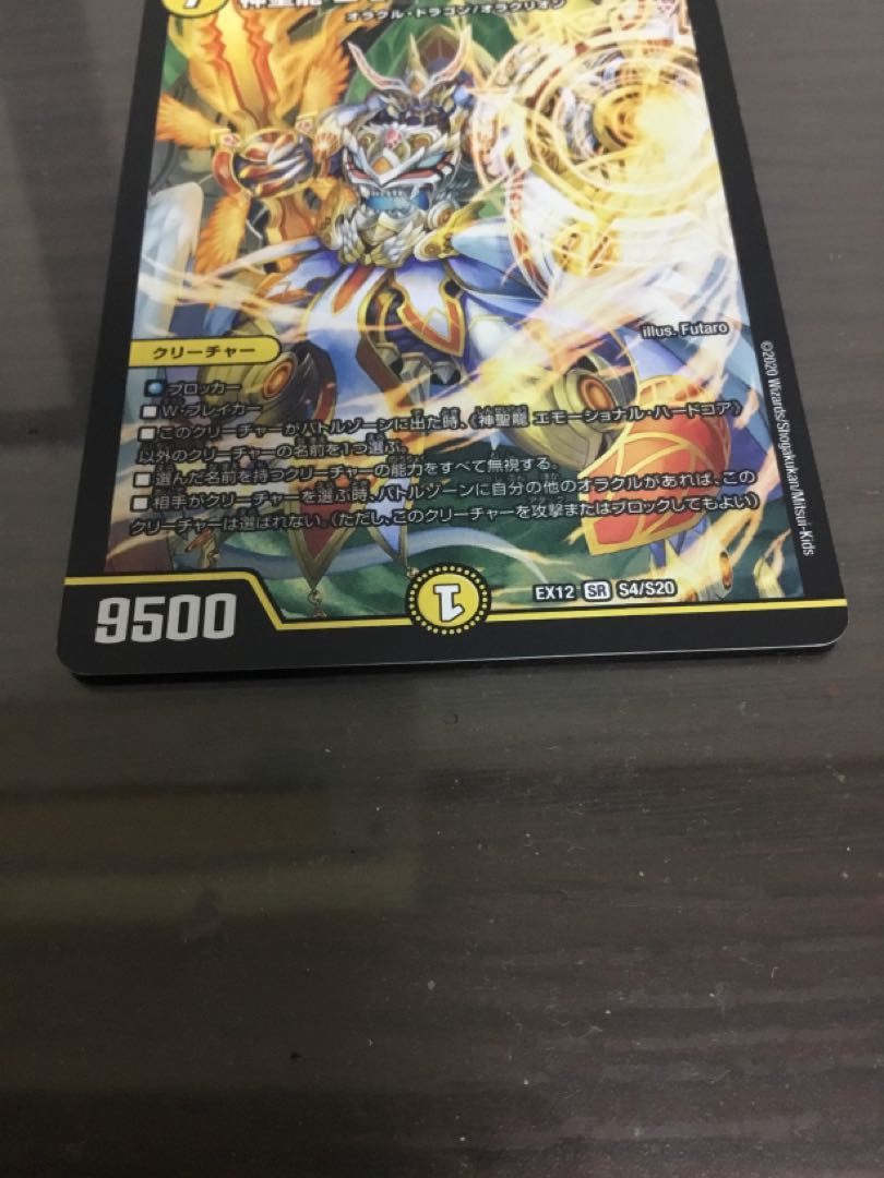 神聖龍 エモーショナル・ハードコア SR