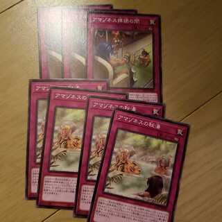 アマゾネス拝謁の間　アマゾネスの秘湯