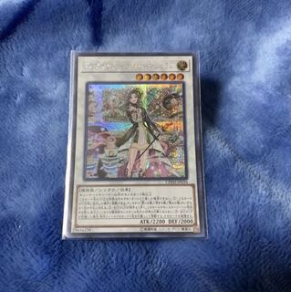 アロマセラフィースイート・マジョラム