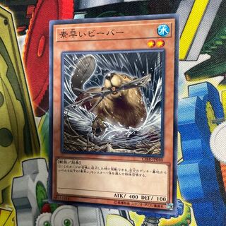 Nimble Beaver 1 piece