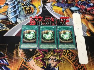 孵化 2期ver 1 ノーマル 3枚セット てら