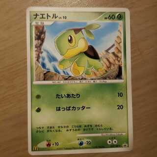 Turtwig McDonald Promo