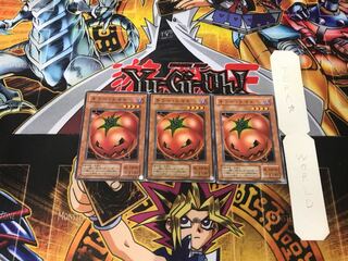 Mystic Tomato 2nd period ver 2 Normal, set of 3 Tera