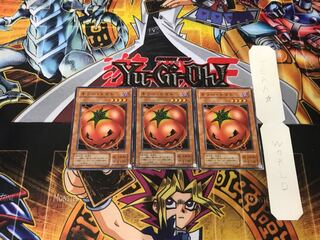 Mystic Tomato 2nd period ver 3 normal, set of 3 Tera