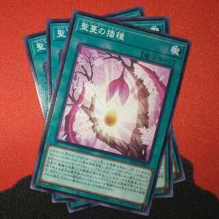 Sunvine Sowing Normal jp065