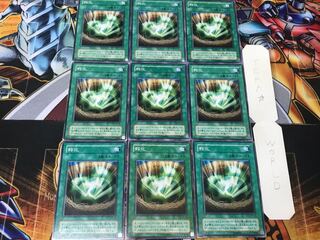 孵化 2期ver 1 ノーマル 9枚セット てら