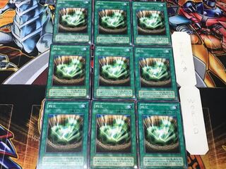 孵化 2期ver 3 ノーマル 9枚セット てら