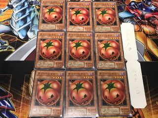 Mystic Tomato 2nd period ver 2 Normal 9-card set Tera