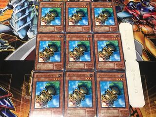 Fiber Jar 2nd period ver 3 Normal 9-card set Tera