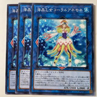 Marincess Coral Anemone