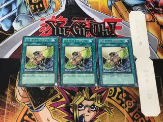 Gladiator Beast's Respite 5 Rare Set of 3 Tera