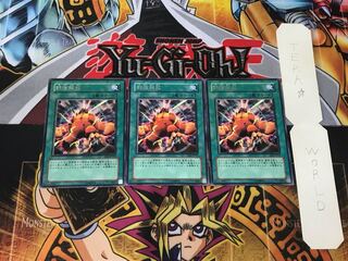 Wild LifeLiberate 3 rare, set of 3 Tera.