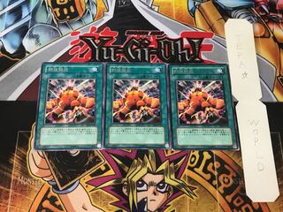 Wild LifeLiberate 5 Rare, set of 3 Tera.