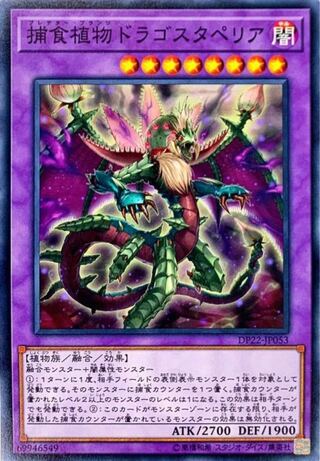 募集 1枚 500円 遊戯王 捕食植物ドラゴスタペリア 美品のみ
